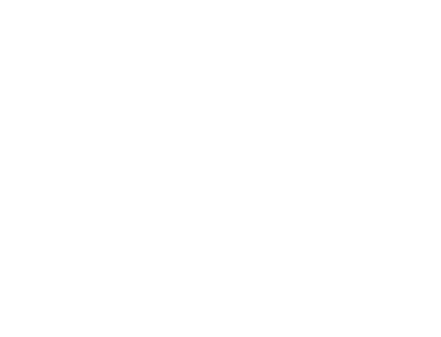Custom Karigar